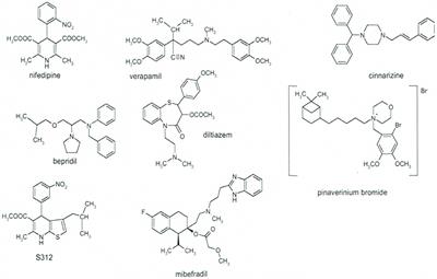 Discovery and Development of Calcium Channel Blockers